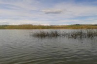 /album/galleria-fotografica/italia-toscana-siena-chiusi-il-lago-jpg/